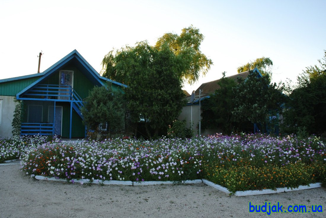 База отдыха Плай - территория. Курорт Рассейка. Фото N 7705. 2016 год